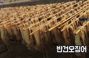  ~~싱싱한반건오징어/문어~~